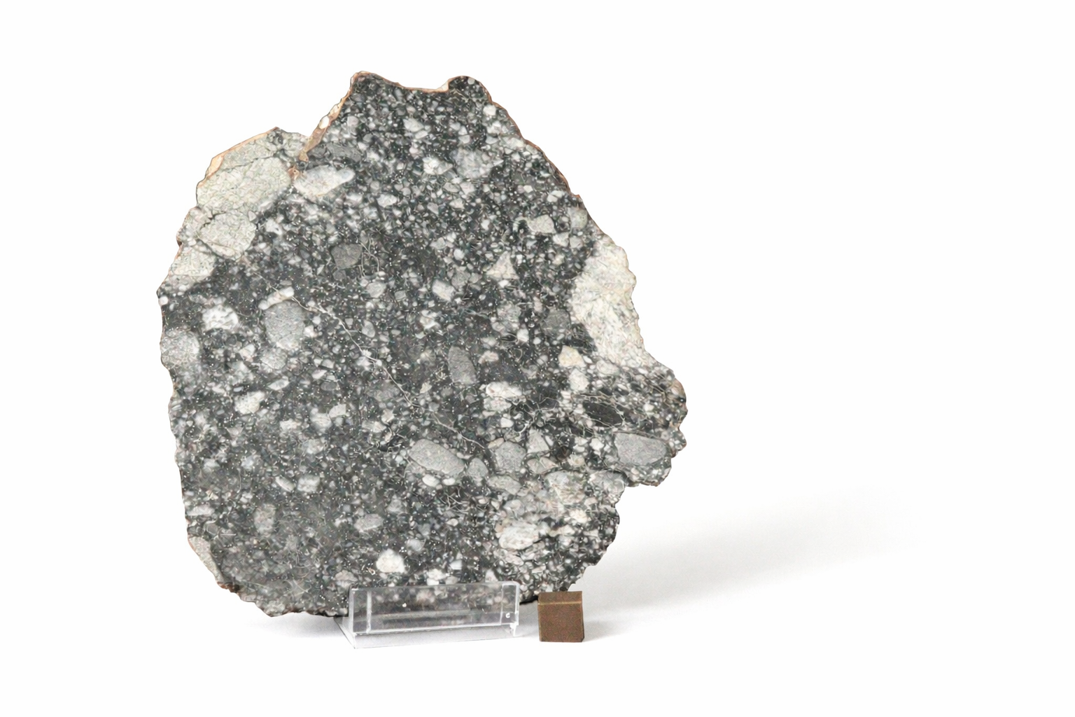 Lunar meteorite detail: breccia clasts and matrix