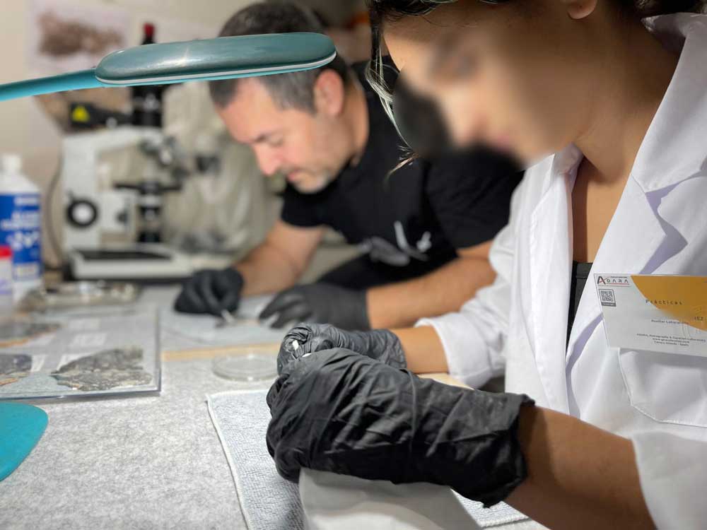 ADARA leadership portrait