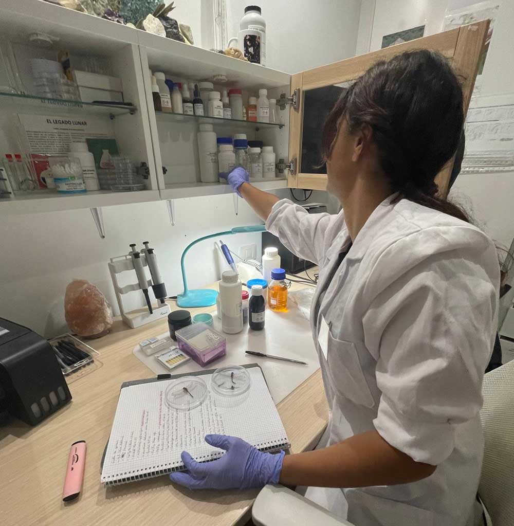 Meteorite macro specimen