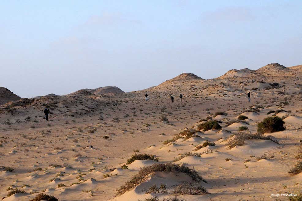 Curated storage and labeling