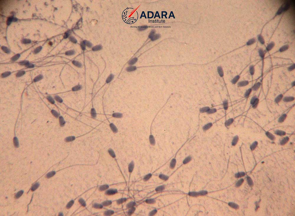 Rare specimen placeholder 1