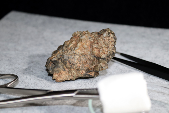 Possible meteorite specimen under scientific examination