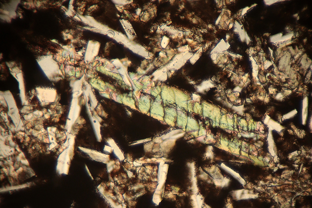 PPL thin section view