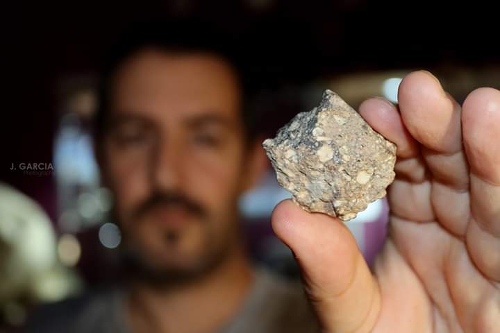 Laboratory work and specimen curation at ADARA Institute