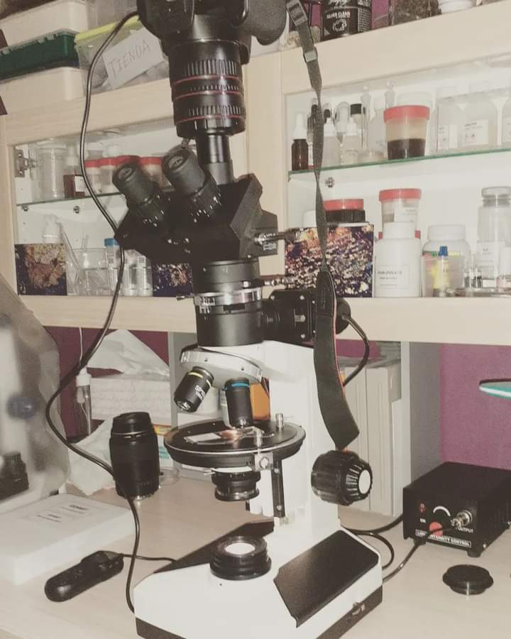 Sample handling and conservation