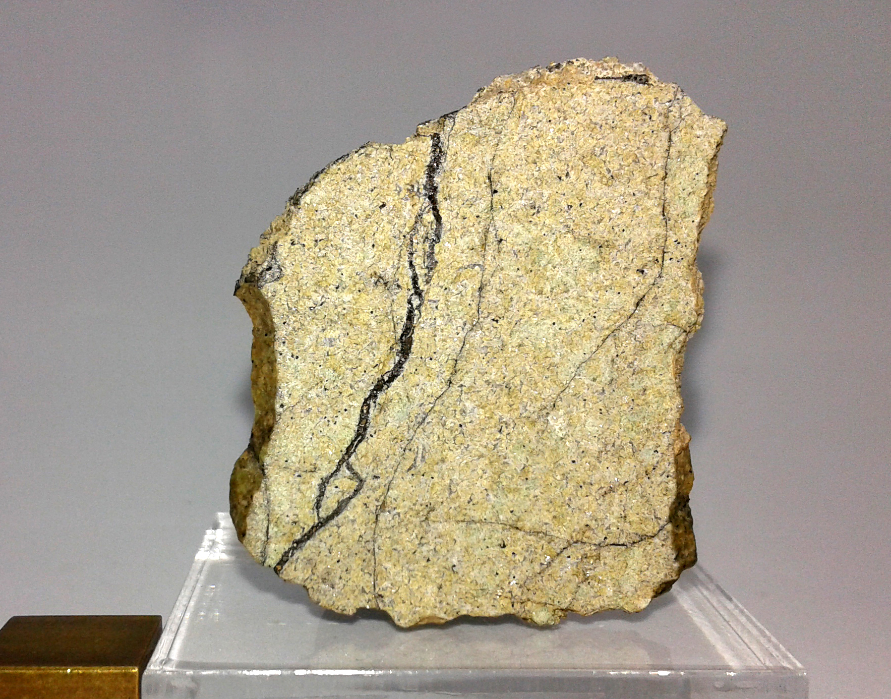 Lunar meteorite specimen