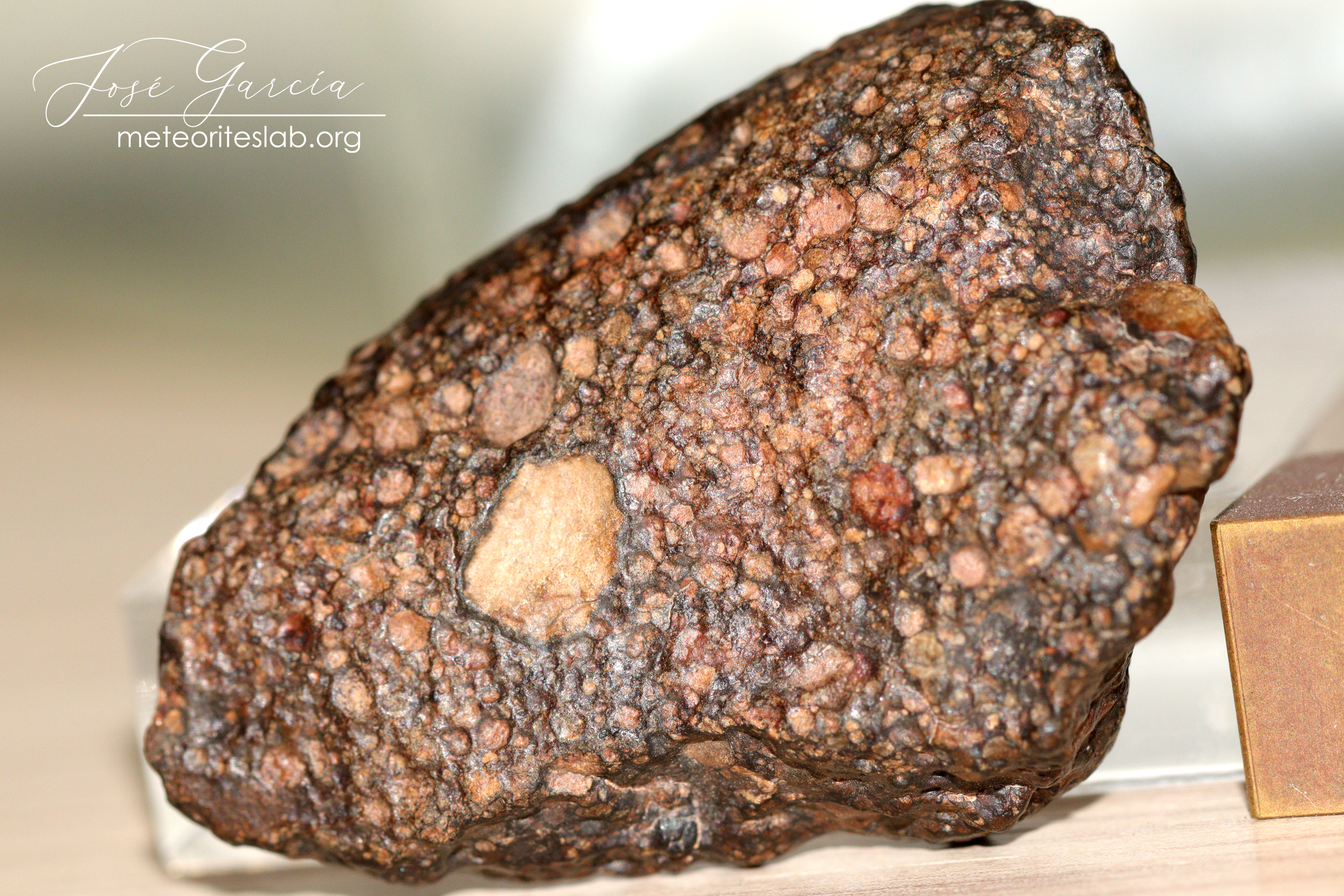 NWA 15158 LL3 meteorite