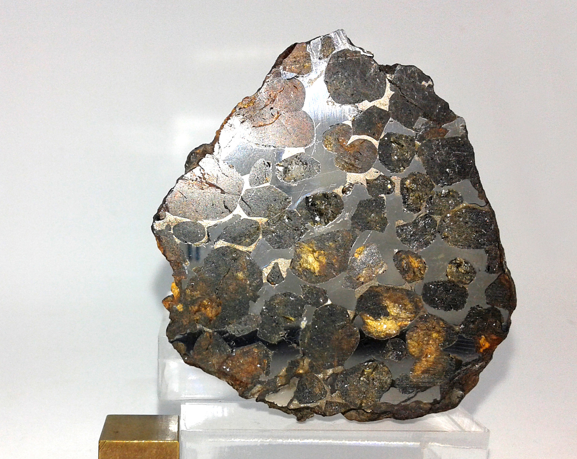 Pallasite meteorite showing olivine and metal