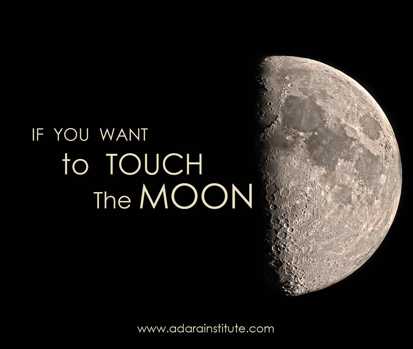 Lunar meteorite: fusion crust and regolith breccia texture